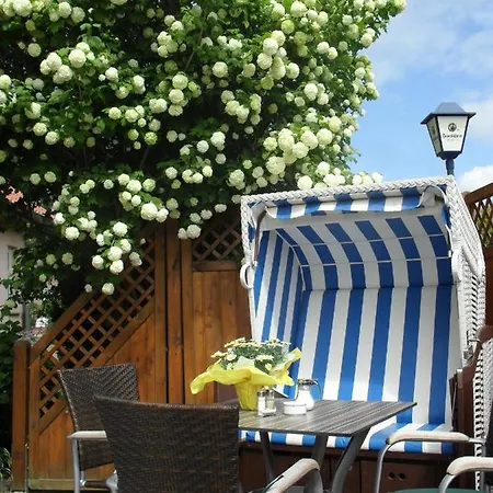Hotel - Zur Mole Wiek auf Rügen
