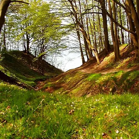 - Zur Mole * Wiek auf Rügen